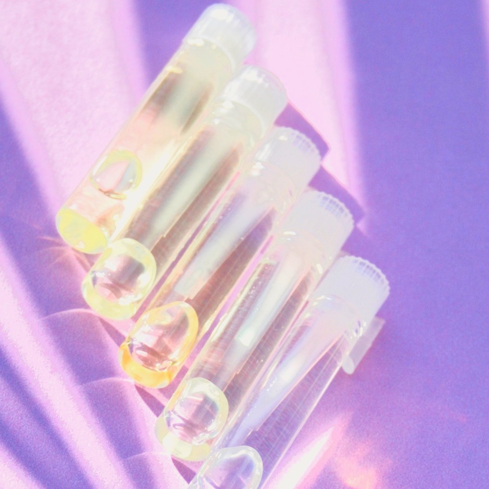 Herb Essential Oil Set